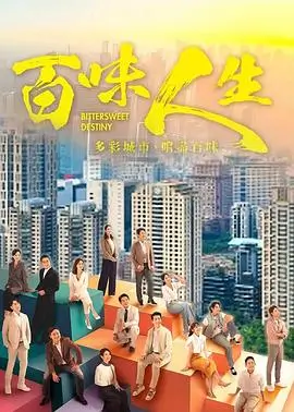 湾区一家人 电视剧 2026